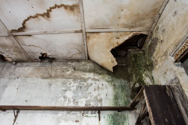 Cost of Water Damage Service in Newark