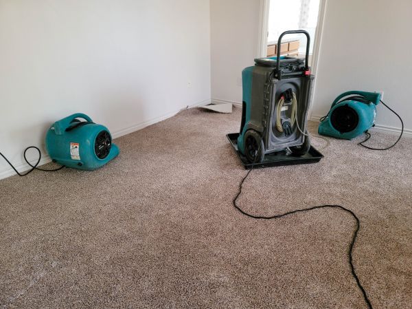 Cost of Flood Damage Repair in Newark
