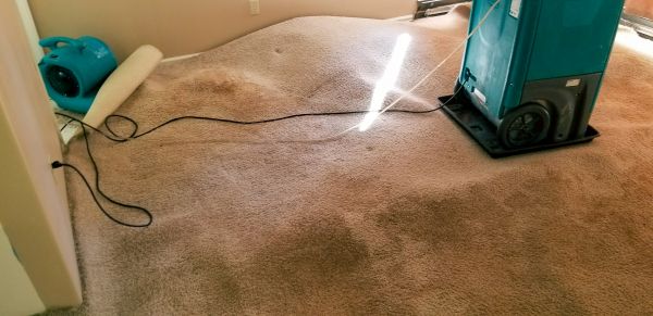 Cost of Flood Damage Cleanup in Newark