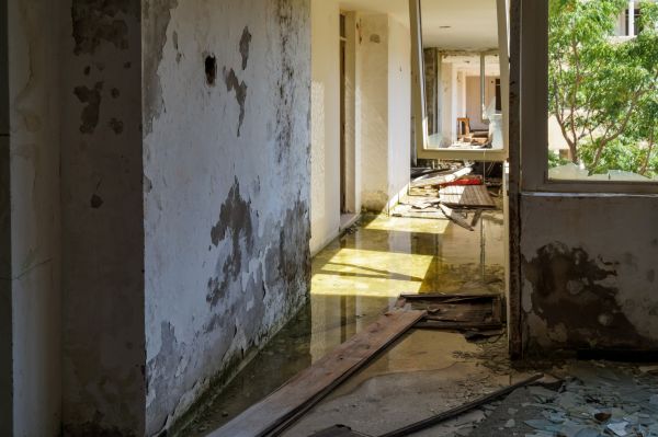 Cost of Water Removal Service in Newark
