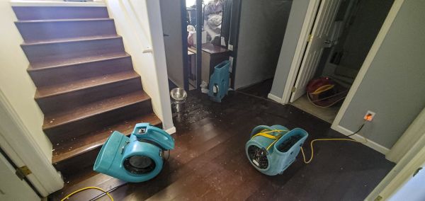 Cost of Water Damage Remediation in Newark