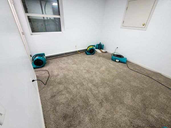 Cost of Flood Restoration Service in Newark