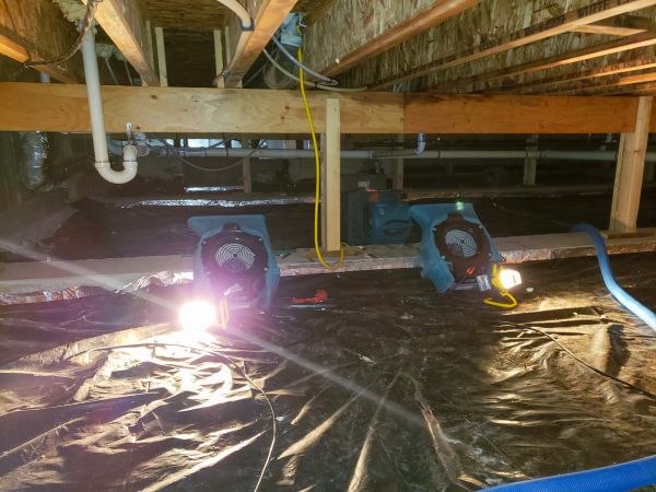 Cost of Crawlspace Water Removal in Newark