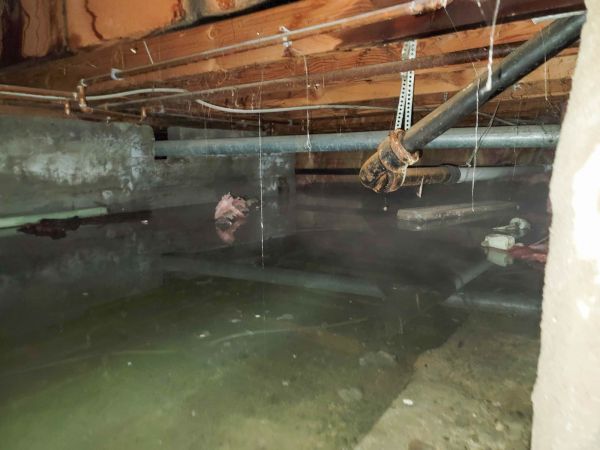Cost of Crawlspace Water Restoration in Newark