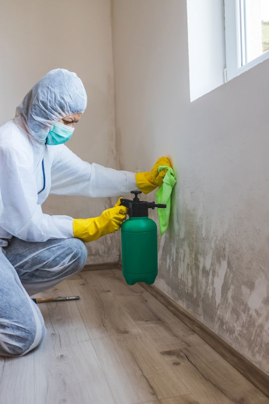 Water and Mold Cleanup